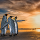 “Three Kings”
